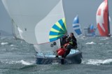 bluefin 2555c whyw23 sun 750 9486